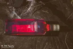 Pyszne drinki z wódki żurawinowej, które musisz spróbować