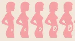 Co to jest trymestr w ciąży i jak wpływa na rozwój dziecka