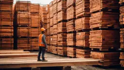 Deski sosnowe z tartaku czy warto je kupić?