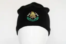 Umundurowanie MDP: Kluczowe informacje o mundurach dla młodzieży