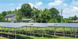 Jakie korzyści oferuje agrofotowoltaika dla rolnictwa i energetyki