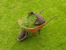 Czy skoszona trawa nadaje się na kompost? Zalety i wskazówki