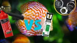 Co daje CO2 w akwarium: 7 kluczowych korzyści dla roślin i ryb