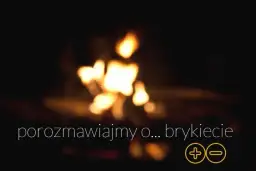 Jaki brykiet do kominka wybrać, aby uniknąć zanieczyszczeń?