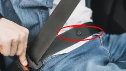 Der Knopf am Sicherheitsgurt: Wichtige Funktion für Ihre Sicherheit