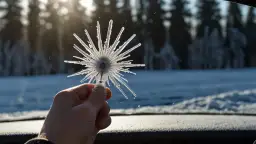 Co zrobić, żeby szyby nie zamarzały zimą? Sprytne triki kierowców