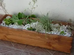 Jak zrobić skalniak w donicy - proste kroki i najlepsze rośliny