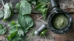 Pokrzywa liście: Oto 7 właściwości i zastosowań w codzienności