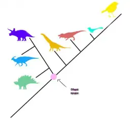 Co to jest systematyka w biologii i dlaczego jest kluczowa dla nauki o życiu