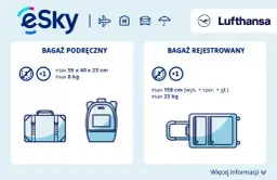 Co można zabrać w bagażu rejestrowanym Lufthansa? Zasady i ograniczenia