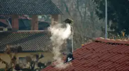 Ile czekamy na zwrot z czystego powietrza? Sprawdź, co opóźnia wypłatę