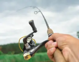 Jaką wędkę na spinning wybrać, aby uniknąć błędów w połowach?