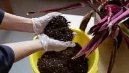 Zapomnij o workach! Stwórz idealną ziemię ogrodową DIY krok po kroku