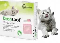 Odrobaczanie kota: Kompletny kalendarz dla zdrowego mruczka