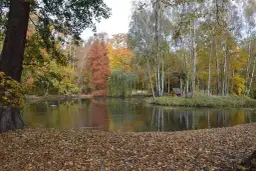 Gdzie dokładnie leży Kaliniec z Nocy i dni? Tajemnica miejsca z powieści Dąbrowskiej
