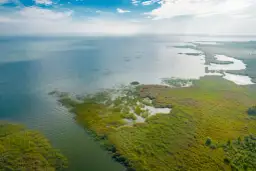Malowniczy widok na mierzeję wiślaną, gdzie woda łączy się z bujną roślinnością. W oddali widać zarys miejscowości.