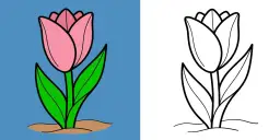 Zwei Tulpenzeichnungen: eine farbig rosa auf blauem Grund, eine schwarz-weiß zum Ausmalen.