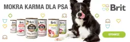 Czy karma Brit jest dobra dla psa? Sprawdź opinie i zalety.
