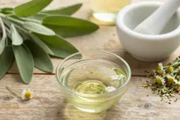 Zapalenie dziąseł: szałwia czy rumianek? Wybierz mądrze!