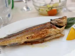 Niechorze gdzie zjeść - najlepsze miejsca na smaczny posiłek