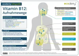 Wichtige Informationen zur Vitamin B12 Ergänzung für Ihre Gesundheit