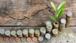 Investor Parasol FIO Oszczędnościowy: Opinie i analiza funduszu