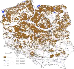 Formy rzeźby: odkryj różnorodność technik i materiałów w sztuce
