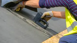 Papa na dach: jak wybrać najlepszą i uniknąć błędów?