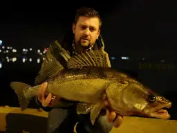 Sandacz: Najlepsze przynęty i techniki. Czy znasz je wszystkie?