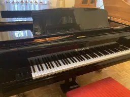 Różnice między fortepianem a pianinem - przewodnik