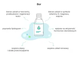 Bor pomaga w tworzeniu kości, syntezie witaminy D, magnezu i wapnia, wspiera stawy i układ nerwowy.
