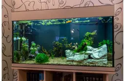 Jak zrobić jaskinię do akwarium krok po kroku - poradnik akwarysty