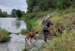 Myśliwy z psem wchodzi do rzeki. Czy myśliwy może polować sam z psem? Tak, ten obraz pokazuje, że jest to możliwe.