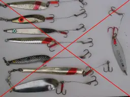 Przynęty na belonę: TOP 5 blaszek i sekret szybkiego prowadzenia!