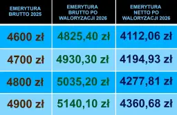 Ile ważą modelki? Wymiary, zdrowie i ewolucja branży 2026