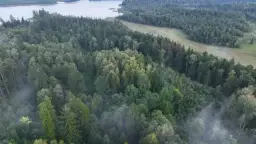 Najpopularniejsze rezerwaty przyrody w Polsce, które musisz odwiedzić