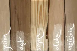 Jakie drewno na meble wybrać, aby uniknąć kosztownych błędów?