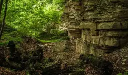 Rezerwat przyrody Bukowica: Odkryj jego piękno i unikalną faunę