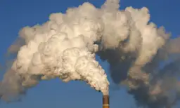 Smog czym jest spowodowany i jak wpływa na nasze zdrowie