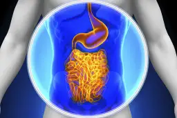 Życie bez jelita cienkiego: wyzwania i możliwości leczenia