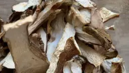 Grzyby w zamrażarce: ile wytrzymają? Sprawdź, zanim wyrzucisz!