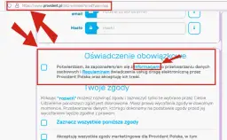 Provident sprawdza BIK? Dowiedz się, jakie masz szanse