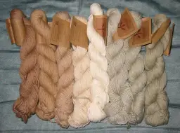 Jakie są włókna roślinne? Odkryj ich właściwości i zastosowania