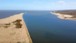 Rezerwat przyrody Zatoka Elbląska - fascynujący świat ptaków i przyrody