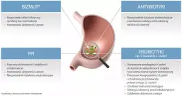 Leki na Helicobacter pylori: Skuteczna terapia i schematy leczenia