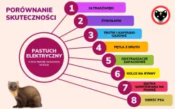 Porównanie skuteczności metod co odstrasza kuny: pastuch elektryczny, ultradźwięki, żywołapki, trutki, odstraszacze zapachowe, sierść psa i inne.