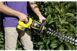 Jakie nożyce do żywopłotu wybrać, aby uniknąć błędów w pielęgnacji?