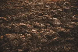 Gdzie sprawdzić klasę ziemi? Ziemia po orce, pełna grud i kamieni, czeka na analizę.