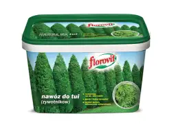 Jaki nawóz pod tuje? Skuteczne sposoby na bujny wzrost iglaka