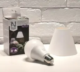 Najlepsze żarówki do roślin w Leroy Merlin – wybierz idealne oświetlenie